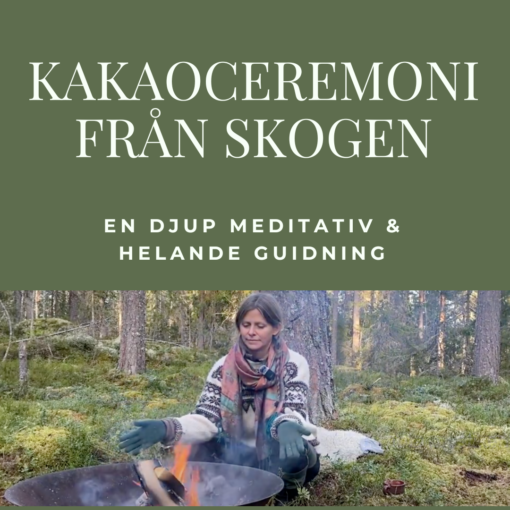 Digital kakaoceremoni från skogen